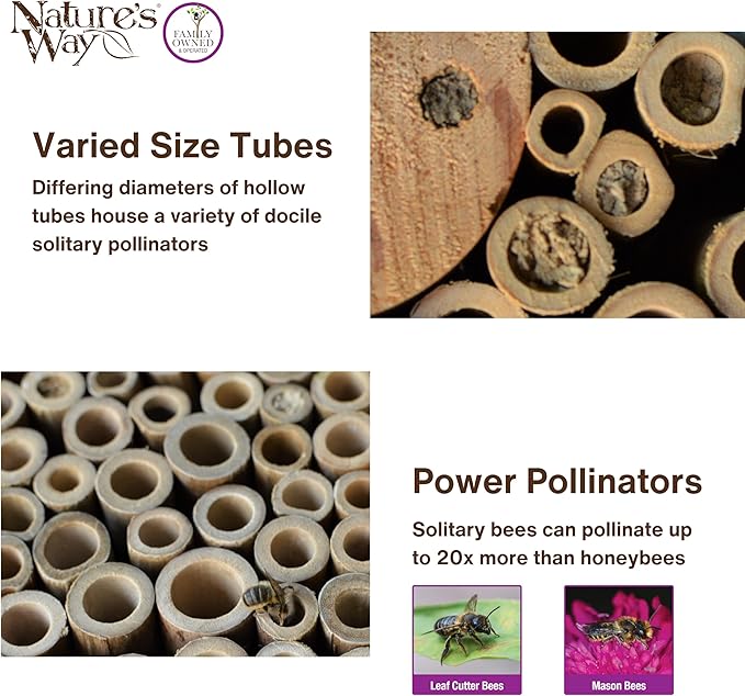 Nature's Way Bird Products PWH1-B Purple Bee House