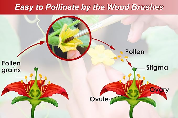 Pollinating Brush for Improving Pollination Efficiency Indoor Hydroponic Plants, Pollination Brushes for Increasing Fruit Yield by 200%, Pollinator Brush Tool for Greenhouse Gardens, Wood (12 Pack)