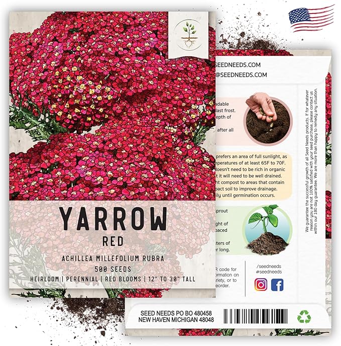 Seed Needs, Red Yarrow Seeds - 500 Heirloom Seeds for Planting Achillea millefolium rubra - Perennial Host Plant to Attracts Monarchs & Other Pollinators (2 Packs)