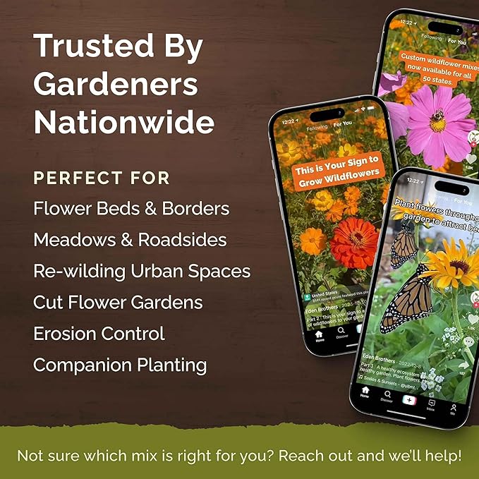 Eden Brothers Native Southeast Wildflower Seed Mix