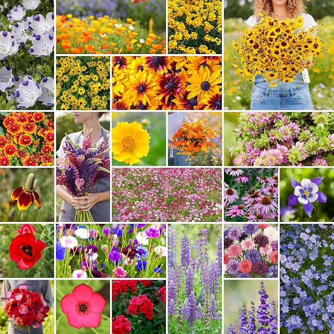 Eden Brothers Western Wildflower Mixed Seeds for Planting, 50 lb, 24,000,000+ Seeds with Cornflower, Blanket Flower | Attracts Pollinators, Plant in Spring or Fall, Zones 3, 4, 5, 6, 7, 8, 9, 10