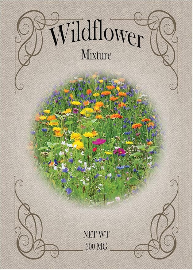 Black Duck Brand Set of 25 Packs of Wildflower Seed Packets! Flower Seeds in Bulk - Great for Creating The Garden of Your Dreams! (25, Wildflower Mix)