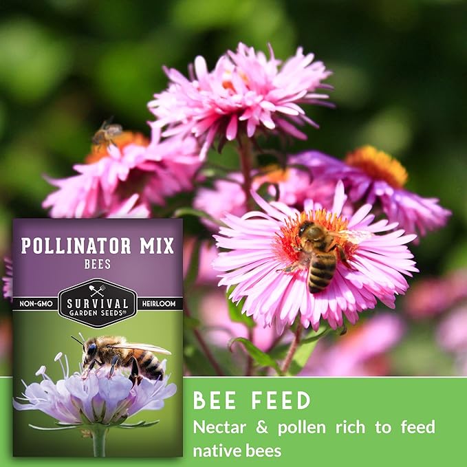 2 Packs Bee Pollinator Mix Seed for Planting - Packet with Instructions to Grow Annual & Perennial Flowers to Feed Bees in Your Home Garden - Non-GMO Heirloom Varieties - Survival Garden Seeds