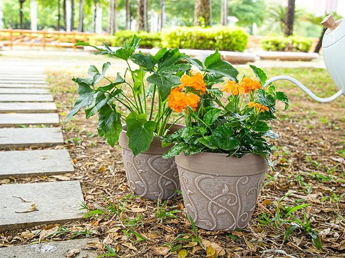 Melphoe Plant Pots Indoor with Drainage & Saucer, 2Pack 8 inch Flower Pots Outdoor Planters for Indoor Plants Garden Home Decor Cactus Succulent, Rigid Plastic (Imitation-Terracotta) Vine-Embossed