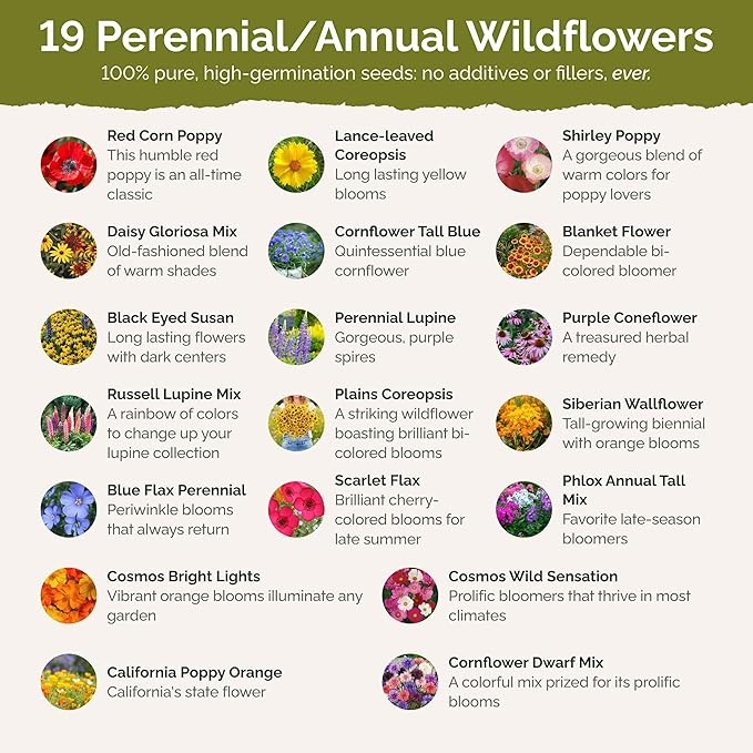 Eden Brothers Burst of Bloom Wildflower Mixed Seeds for Planting, 25 lb, 12,000,000+ Seeds with Cosmos, Black Eyed Susan | Attracts Pollinators, Plant in Spring or Fall, Zones 3, 4, 5, 6, 7, 8, 9, 10