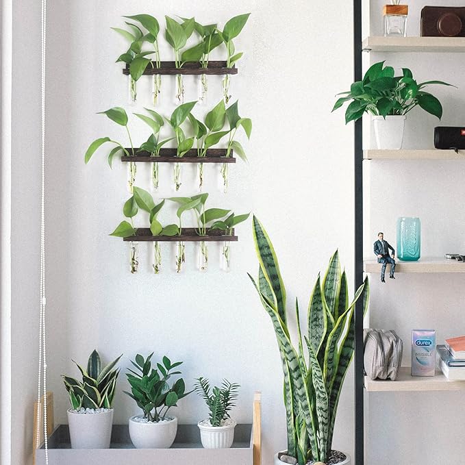 Plant Propagation Station Tubes, 3 Tiered 15 Wall Hanging Glass Test Tubes Vase Planter for Hydroponic Home Garden Office Decor, Gardening Gifts for Women Plant Lover - Brown