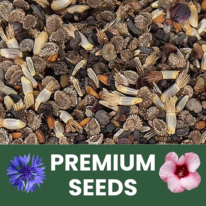 Shade Tolerant Mix – 14,000 Wildflower Seeds for Pollinator Gardens – 2026 Season – 1 Ounce Pouch