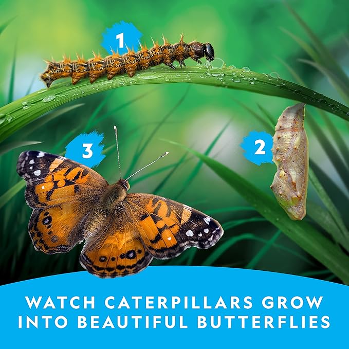 National Geographic Butterfly Growing Kit - Butterfly Habitat Kit with Voucher to Redeem 5 Caterpillars (S&H Not Included), Butterfly Cage, Feeder, Easter Basket Gifts for Kids