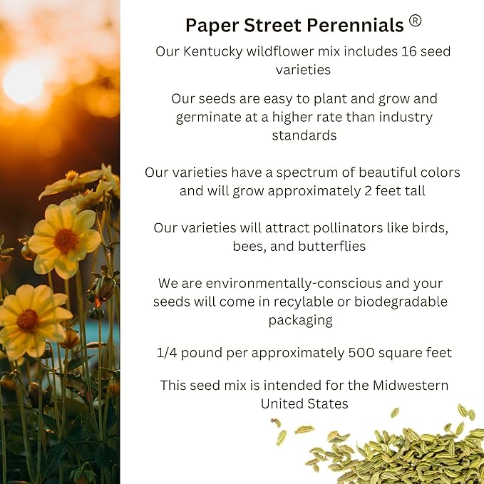 Kentucky Bulk Perennial Wildflower Seed Mix 1lb Covers 2,000sq-ft - Attract Pollinators, Multi-Color Blooms - Midwest US Species Plant in Spring/Fall - Earth-Friendly Packaging (1/4 Pound)