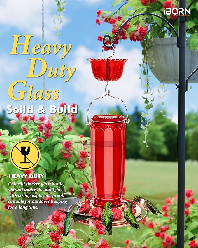 iBorn Glass Hummingbird Feeder for Outdoors Hanging Ant and Bee Proof Ant Moat for Hummingbird Feeder 8 Ports for 16oz Hummingbird Nectar,Brushed Copper Base Red Glass, Pack of 1, 2024 New