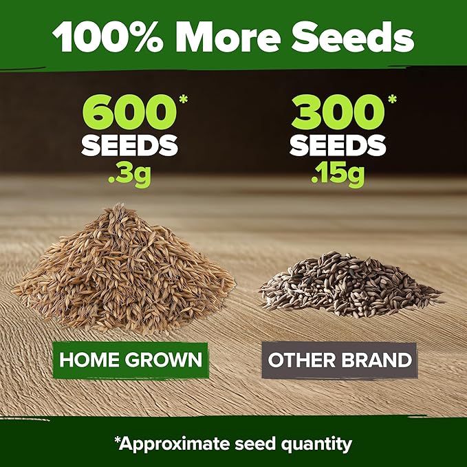 HOME GROWN Flower Seeds Giant (Dandelion, 1-Pack)