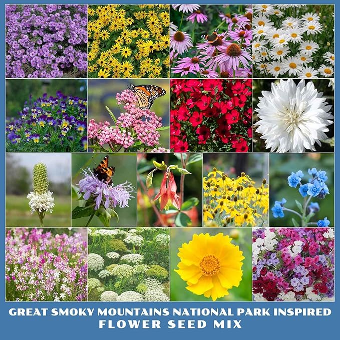 Eden Brothers Great Smoky Mountains National Park Inspired Wildflower Seed Mix