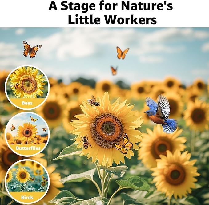 15+ Varieties 5000+ Sunflower Seeds for Planting, 4 Oz Heirloom Non-GMO Sunflower Mix Seeds to Plant (Giant Mammoth, Dwarf) Garden Variety Pack, High Germination, Attracts Pollinators