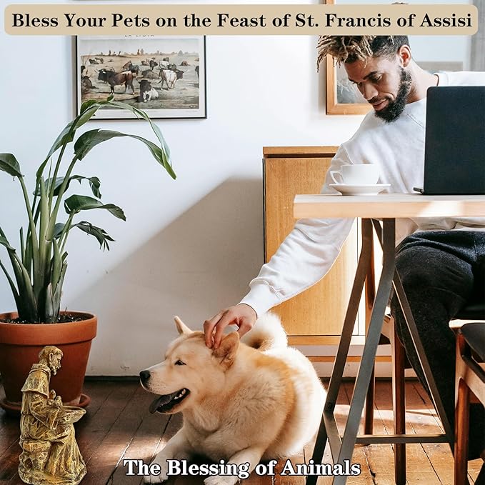 St. Francis of Assisi Garden Statue, Spiritual Bird Feeder, Blessing of Animals Decorative Accent for Outdoor Spaces, St. Francis Statue Souvenirs for Patron Saint of Animals, Franciscan Decor