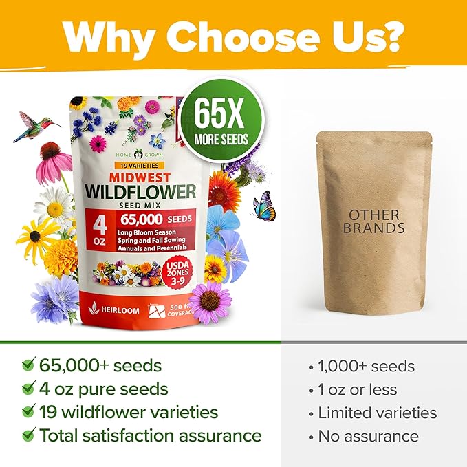 HOME GROWN 65,000+ Wildflower Seeds Heirloom Perennial Flower Seeds Mix for Attracting Bees Birds & Butterflies, High Germination (Midwest, 4 oz)