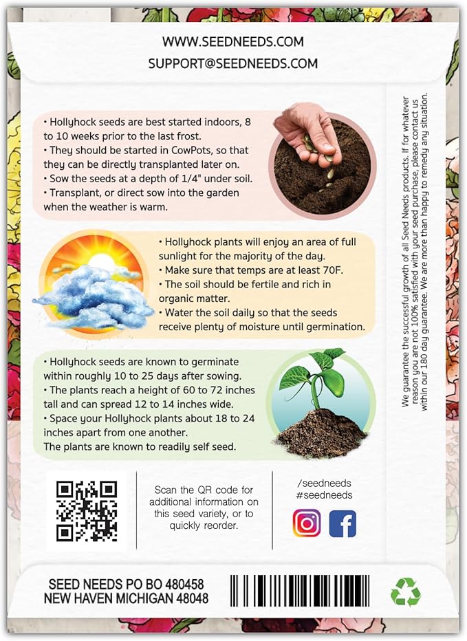 Seed Needs, Mixed Carnival Hollyhock Seeds - Heirloom Seeds for Planting Alcea rosea - Biennial Wildflower that Attracts Pollinators to the Garden (2 Packs)