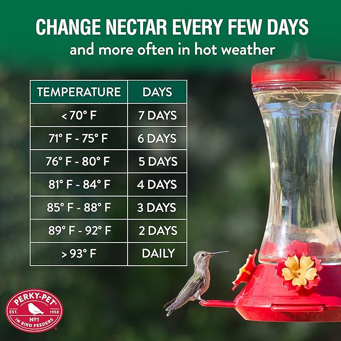 Perky-Pet 476 Glass 20-Ounce Hummingbird Feeder