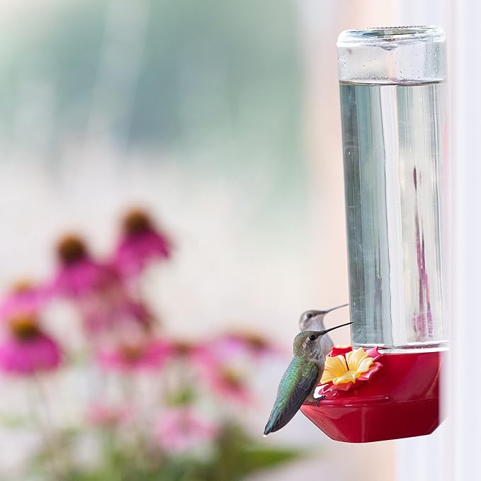 Perky-Pet Window-Mounted Glass Hummingbird Feeder - 14 fl oz Nectar Capacity - Entertaining Bird Watching - Glass Window Bird Feeder - 455-2 - Family Birdwatching