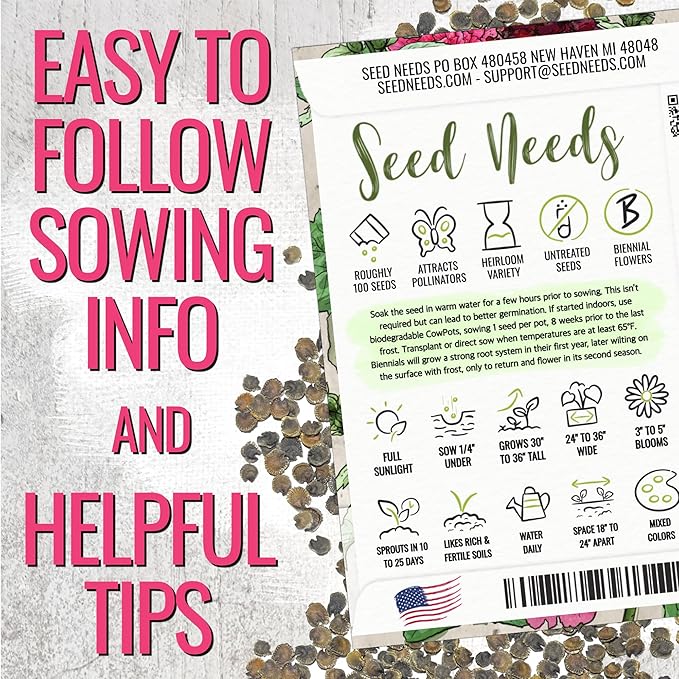 Seed Needs, Double Majorette Hollyhock Seeds - 100 Heirloom Seeds for Planting Alcea rosea - Mixed Biennial Flower that Attracts Pollinators to The Garden (2 Packs)