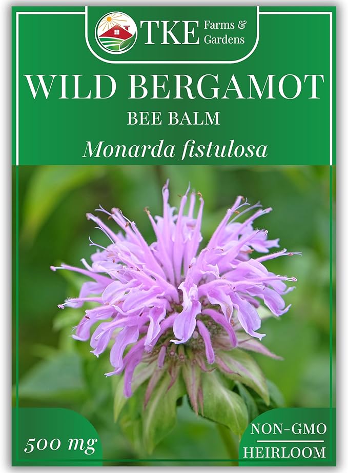 TKE Farms & Gardens - Wild Bergamot Bee Balm Seeds, 1000+ Heirloom Non-GMO Perennial Herb Seeds for Indoor/Outdoor Gardens, Attracts Butterflies & Pollinators, Monarda fistulosa
