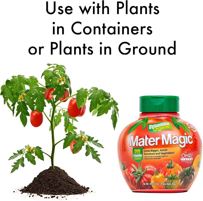 Dynamite Mater Magic - Organic Tomato Fertilizer for Bigger, Juicier Tomatoes and Vegetables, OMRI Listed, Nitrogen and Calcium-Rich Plant Food - .675 Pound Container with Shaker Lid