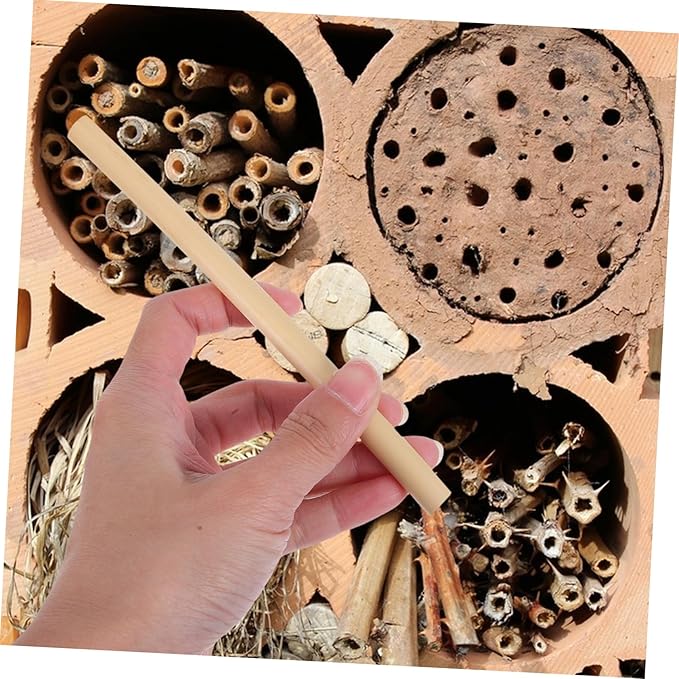 YARNOW 100pcs Natural Reed Bee Tubes for Beekeepers Refill Tube Props for Mason Bee Houses Essential Beekeeping Tools for Pollinator Gardens