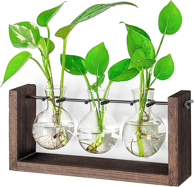 Propagation Station, Plants Terrarium, Plants Lover Gifts for Women,Plant Cutting Holder Home décor,Gifts for Women,House Warming New Home-3 Bulbs-Mounted
