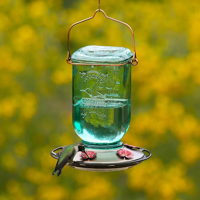 More Birds Mason Jar Hummingbird Feeder, Glass Hummingbird Feeders for Outdoors, 5 Feeding Stations, 25 Ounces