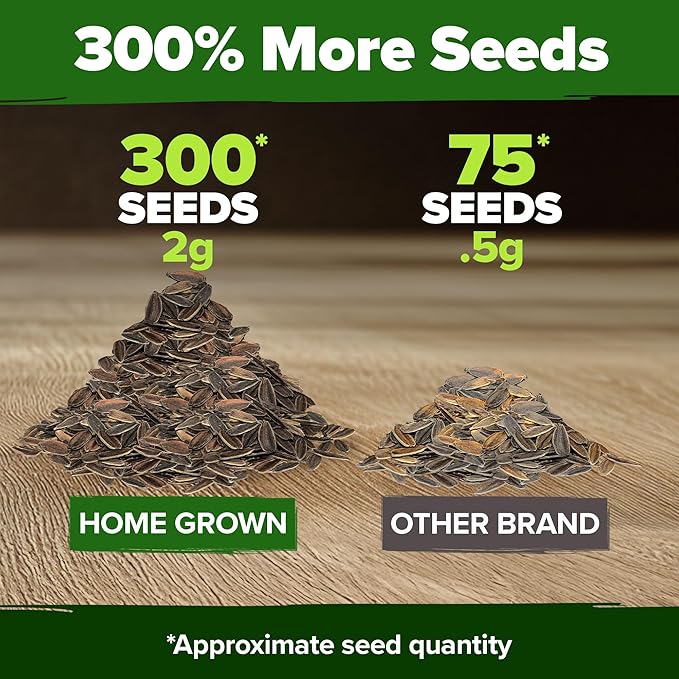 HOME GROWN Will Rogers Zinnia Seeds - 300 Zinnia Flower Seeds for Planting Outdoors - Tall Zinnia Elegans Cut Flowers - Heirloom Non-GMO Zinnia Seeds for 2026