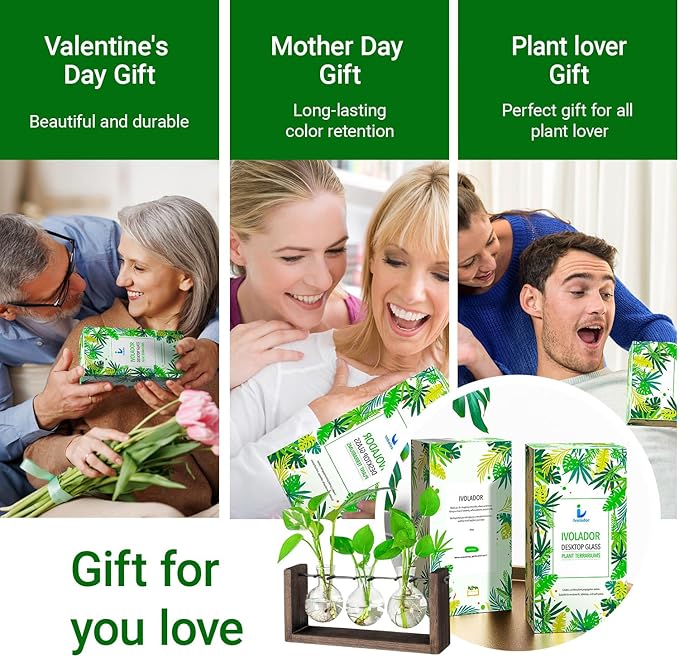 Propagation Station, Plants Terrarium, Plants Lover Gifts for Women,Plant Cutting Holder Home décor,Gifts for Women,House Warming New Home-3 Bulbs-Mounted