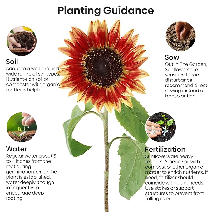 Sunflower Seeds for Planting, 15+ Varieties, 1 Oz, 300+ Mixed Seeds to Plant Colored Sunflower for Outdoors, Garden, Attracts Pollinators