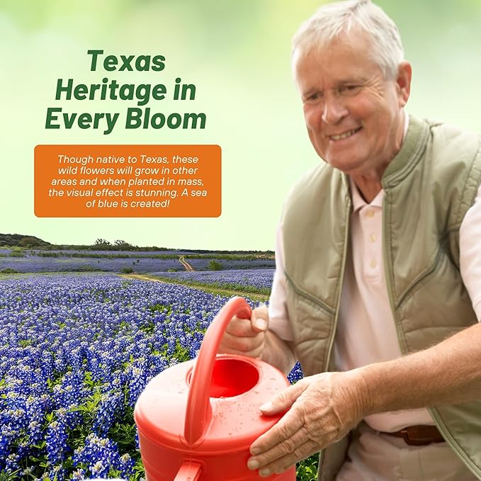 Outsidepride Texas Bluebonnet Seeds - 500 Pcs Annual Lupinus Texensis, Heirloom Quality, Drought-Tolerant Wildflower Seeds w/Blue Blooms for Vibrant Spring Displays, Landscape, & Attracts Pollinators