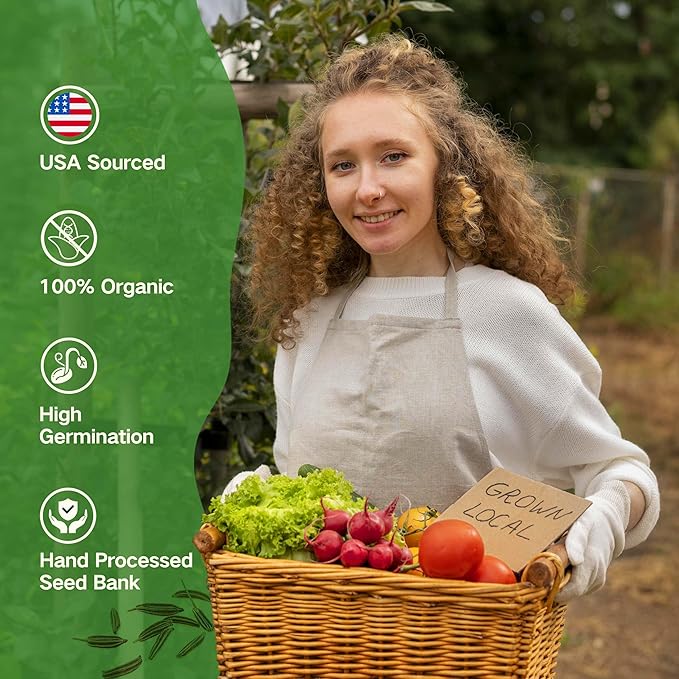 Lush&Dew Raised Garden Bed Heirloom Seed Bank, 32 Varieties 30,000+ Non-GMO Seeds for Planting Vegetables Herbs Fruits Year-Round, Gardening Gifts for Women Men, Survival Seed Kit for Food Supplies