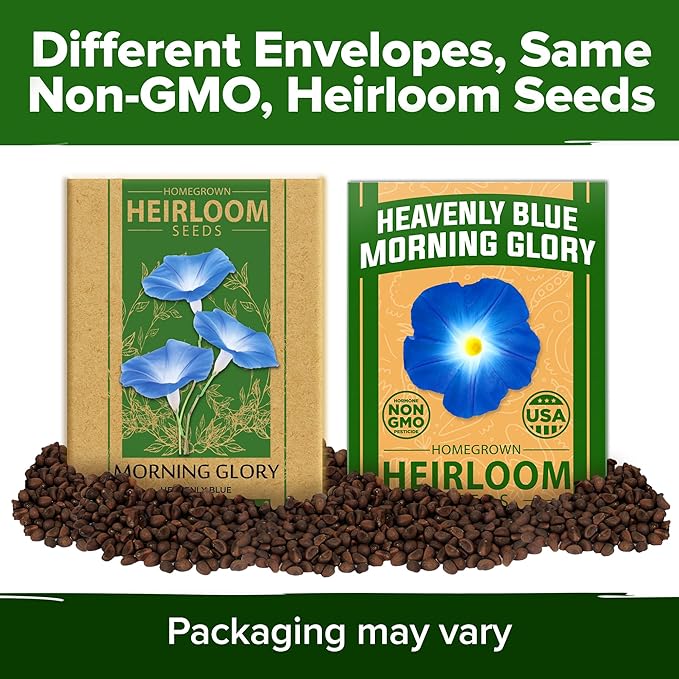 HOME GROWN Heavenly Blue Morning Glory - 150 Heirloom Seeds for Planting, Ideal for a Flower Garden That Attracts Pollinators and Birds (Ipomoea Tricolor)