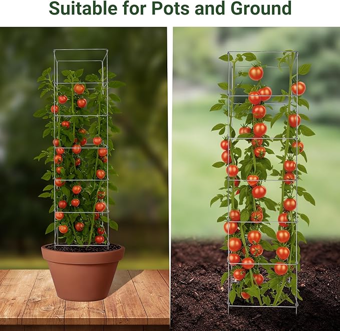 Metal Foldable Tomato Cages 13" x 56", Square Tomato Cages Plant Support for Vegetable Garden, Heavy Duty Tall Tomato Cages for Beans, Tomatos, Cucumbers - 5 Pack