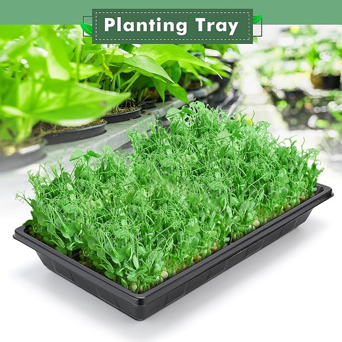 Sckee Upgraded 50 Pack Plant Growing Trays Seed Starting Tray Microgreens Growing Trays Seedling Plant Germination Starter Tray Transplant Fodder Flats, No Holes, No Leakage, Reusable (1017)