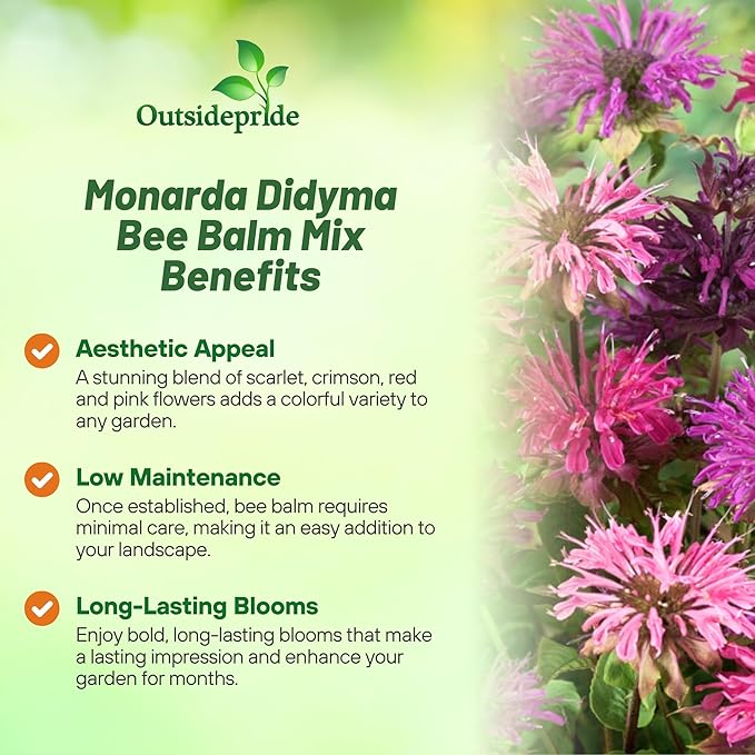 Outsidepride Bee Balm Mix Seeds - 1000 Pcs Perennial, Easy to Grow & Pollinator Friendly Monarda Didyma Flower Seeds for Planting Mint Scented Leaves & Edible Blooms, Ideal for Teas & Potpourri