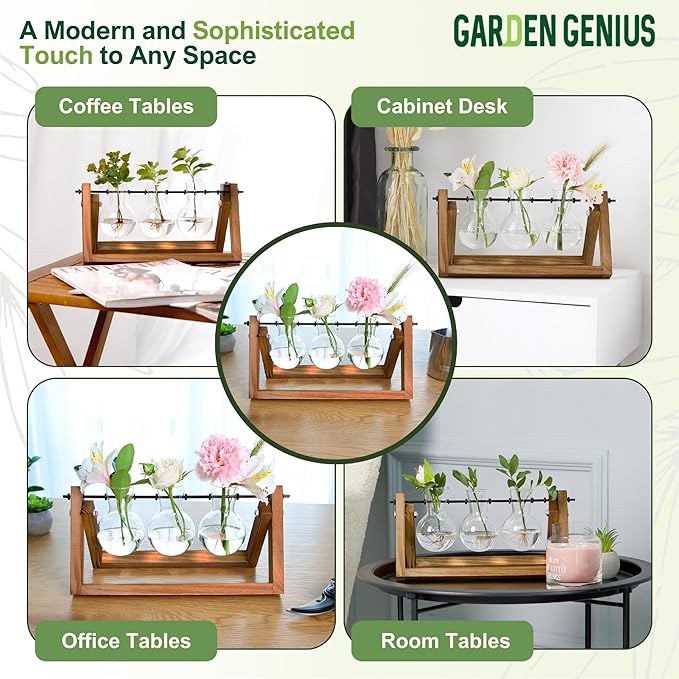 Glass Propagation Station with Wooden Stand – 3 Bulb Vase Plant Terrarium for Home & Office | Ideal Christmas, New Year & Birthday Gift for Plant Lovers, Moms | Hydroponic Desktop Planter Set