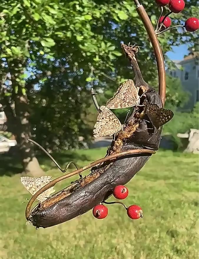 Butterfly Feeders Butterfly Hummingbird Feeder for Outdoor,Mini Hanging Butterfly Banana Feeder, Copper Vine Sturdy Banana Holder, Attract Butterflies, Bees and Birds to Your Garden (2)