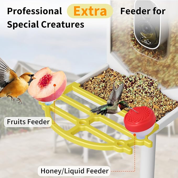 Garvee Smart Bird Feeder with 4k Camera & AI Recognition - Solar Powered, 2L Capacity, Night Vision, App Alerts, for Bird Watching, Squirrel Deterrent Function