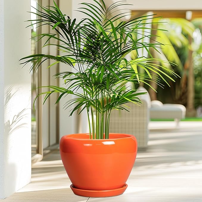 Indoor Plant Pot 8 Inch - Ceramic Plant Pot with Drainage Hole and Saucer, Glaze Decorative Modern Round Planter for Outdoor Plants, Housewarming Gifts, Office Home Garden Decor, Orange