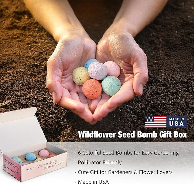 Wildflower Seed Bomb Gift Box – 6 Colorful Hand Rolled Seed Balls for Easy Gardening – Pollinator-Friendly, Made in The USA by Small Business – for Gardeners & Flower Lovers
