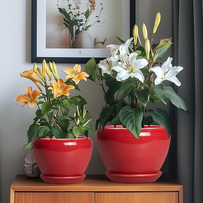 Ceramic Plant Pots, 10+8+6 Inch Ceramic Planters with Drainage Holes and Saucers, Round Decorative Pots for Plants Indoor Outdoor, House Decor, Gifts for Plant Lovers, Set of 3, Bright Red