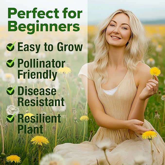 HOME GROWN Flower Seeds Giant (Dandelion, 1-Pack)