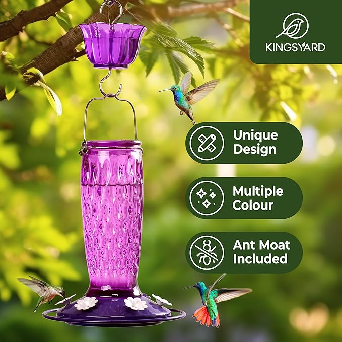 Kingsyard 2 Pack Glass Hummingbird Feeders for Outdoors Hanging, Wild Bird Nectar Feeder with 6 Feeding Ports, 24 oz Leak-Proof, Purple (Ant Moat Included)