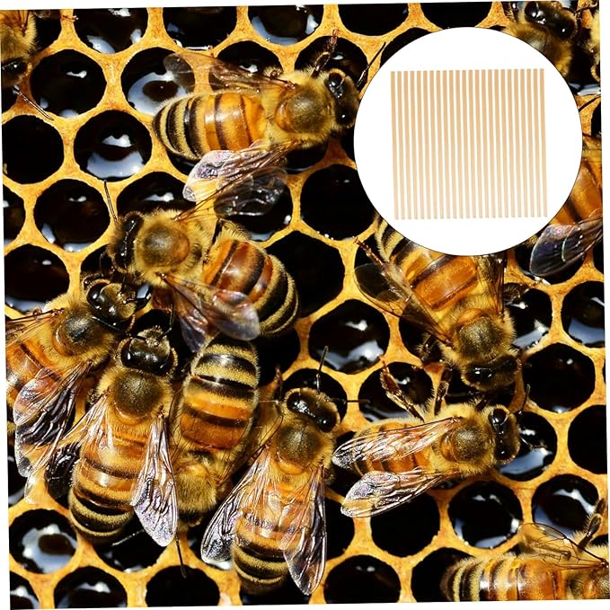 VANZACK 300pcs Bee Craft Supplies Straw Bee House Tubes Easy Install Outdoor Beekeeping Nesting Tubes