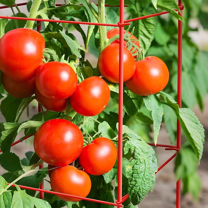 Tomato Cages 6 Packs 57 Inches (H) Plant Stand with 164 Feet Twist Ties, Heavy Duty Garden Plants Support for Tomatoes, Cucumber, and Other Climbing Plants (Red)