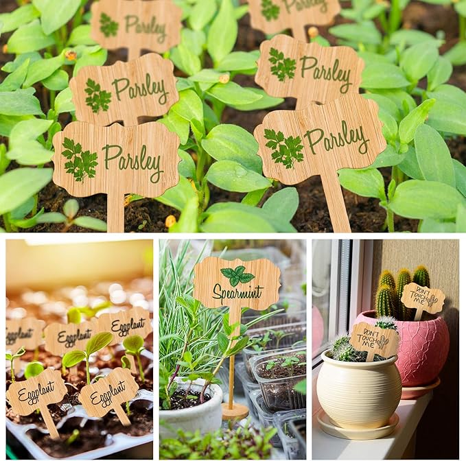 Whaline Bamboo Plant Labels - Thumbnail 4