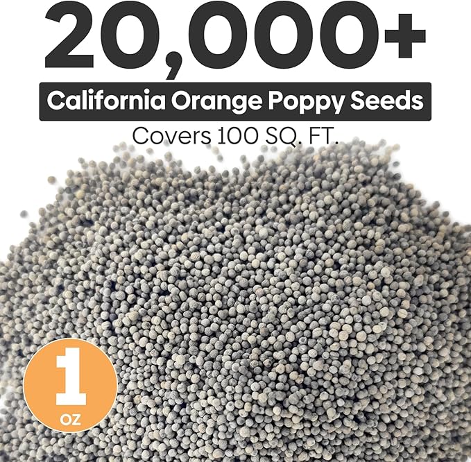 California Poppy Seeds, 1 Ounce Over 20000+ Seeds, Non-GMO | Heirloom | Sourced from USA- Eschscholzia Californica, USDA Zone 5-10