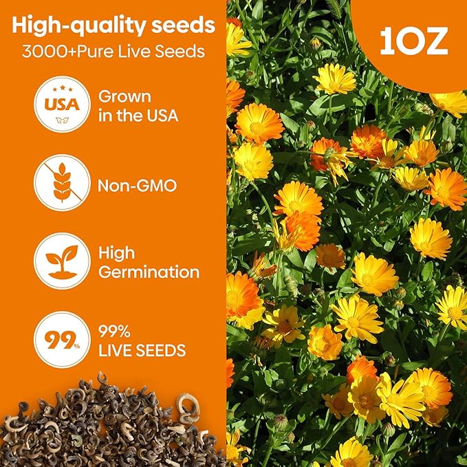 Calendula Seeds Pacific Beauty Mix, 3000+ Calendula Officinalis Seeds, Open Pollinated Non-GMO Wildflower Seed Grown in The USA, 1 Ounce